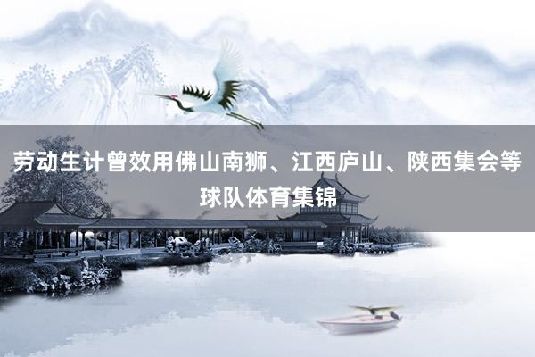 劳动生计曾效用佛山南狮、江西庐山、陕西集会等球队体育集锦