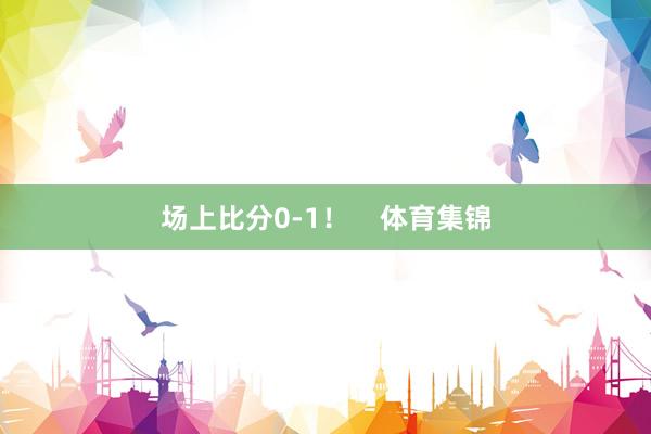 场上比分0-1！    体育集锦