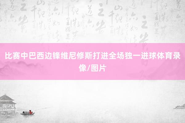 比赛中巴西边锋维尼修斯打进全场独一进球体育录像/图片