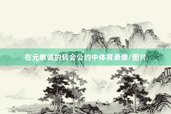 在元敏诚的转会公约中体育录像/图片