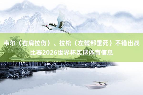 韦尔（右肩拉伤）、拉松（左髋部垂死）不错出战比赛2026世界杯买球体育信息