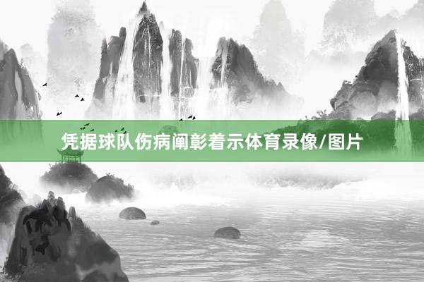 凭据球队伤病阐彰着示体育录像/图片