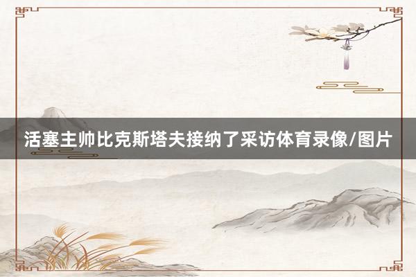 活塞主帅比克斯塔夫接纳了采访体育录像/图片