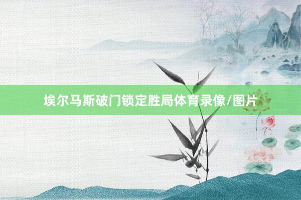 埃尔马斯破门锁定胜局体育录像/图片