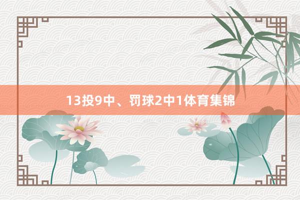 13投9中、罚球2中1体育集锦