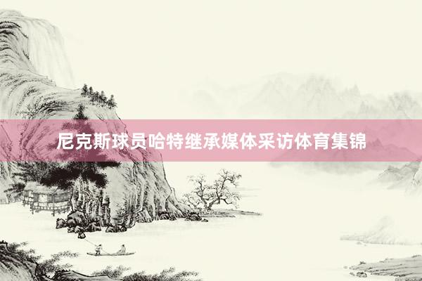 尼克斯球员哈特继承媒体采访体育集锦