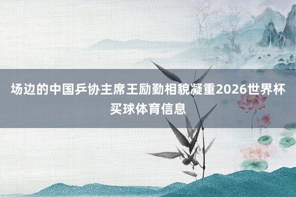 场边的中国乒协主席王励勤相貌凝重2026世界杯买球体育信息