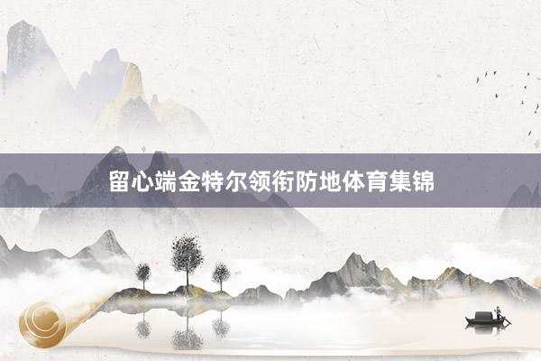 留心端金特尔领衔防地体育集锦