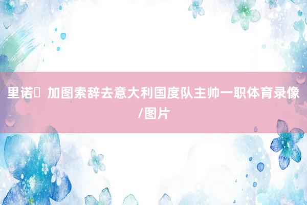 里诺・加图索辞去意大利国度队主帅一职体育录像/图片