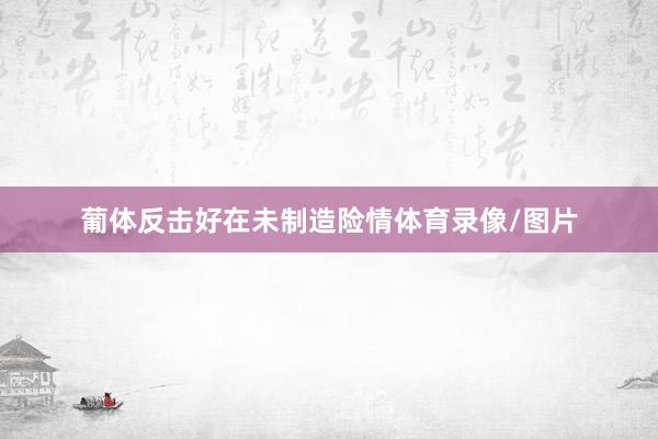 葡体反击好在未制造险情体育录像/图片