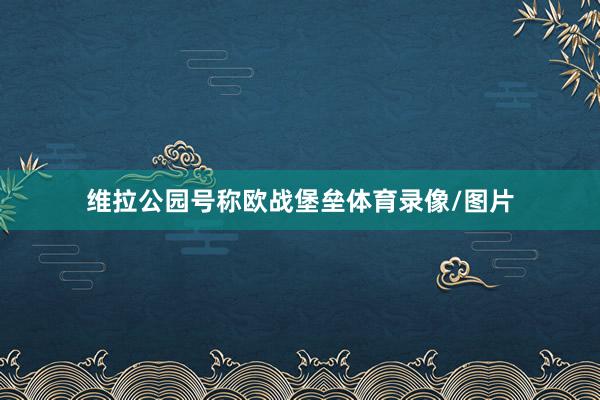 维拉公园号称欧战堡垒体育录像/图片