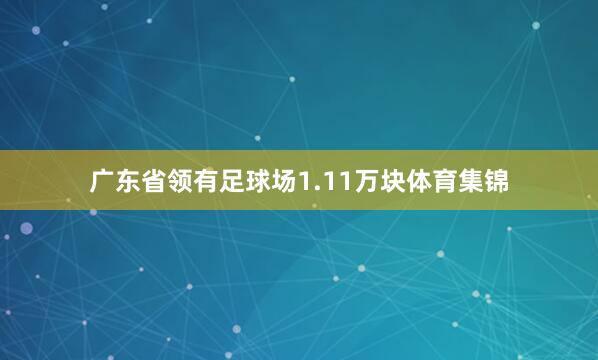 广东省领有足球场1.11万块体育集锦