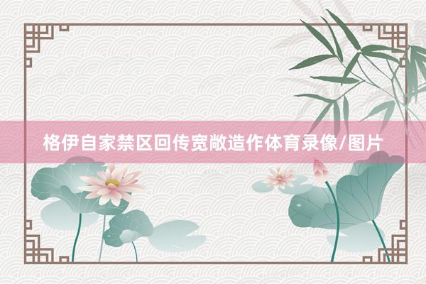 格伊自家禁区回传宽敞造作体育录像/图片