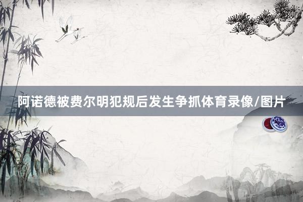 阿诺德被费尔明犯规后发生争抓体育录像/图片