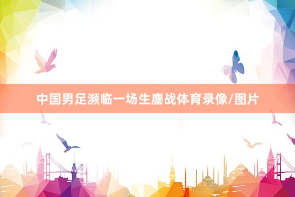 中国男足濒临一场生鏖战体育录像/图片
