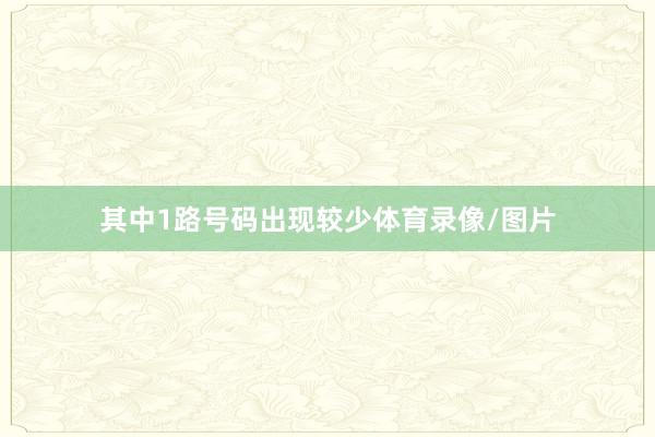 其中1路号码出现较少体育录像/图片