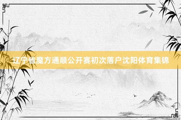 辽宁省魔方通顺公开赛初次落户沈阳体育集锦
