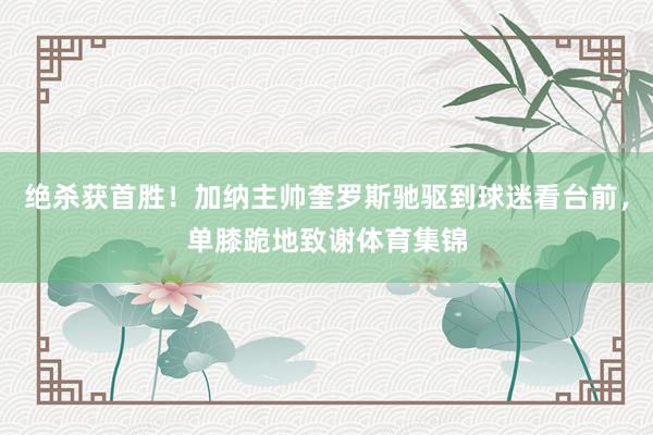 绝杀获首胜！加纳主帅奎罗斯驰驱到球迷看台前，单膝跪地致谢体育集锦