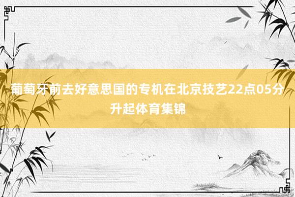 葡萄牙前去好意思国的专机在北京技艺22点05分升起体育集锦