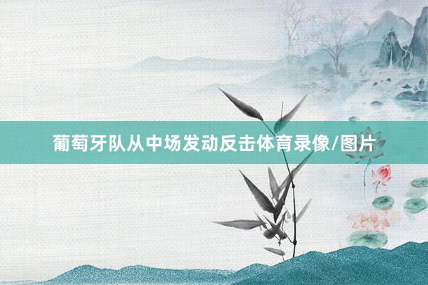 葡萄牙队从中场发动反击体育录像/图片