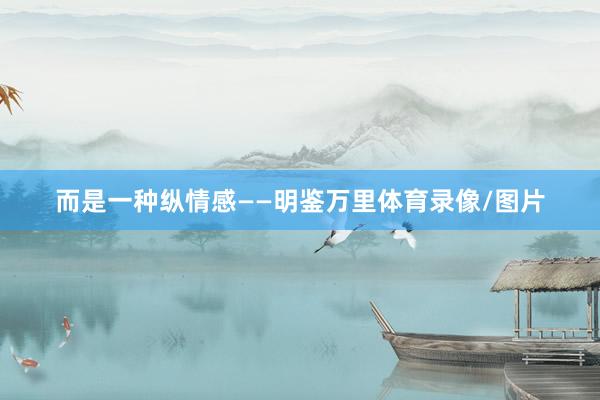 而是一种纵情感——明鉴万里体育录像/图片